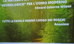 Pesaro conferenza dei dott. Anna Manca e Santino Ciuffolini “La terza età e la terapia forestale” i